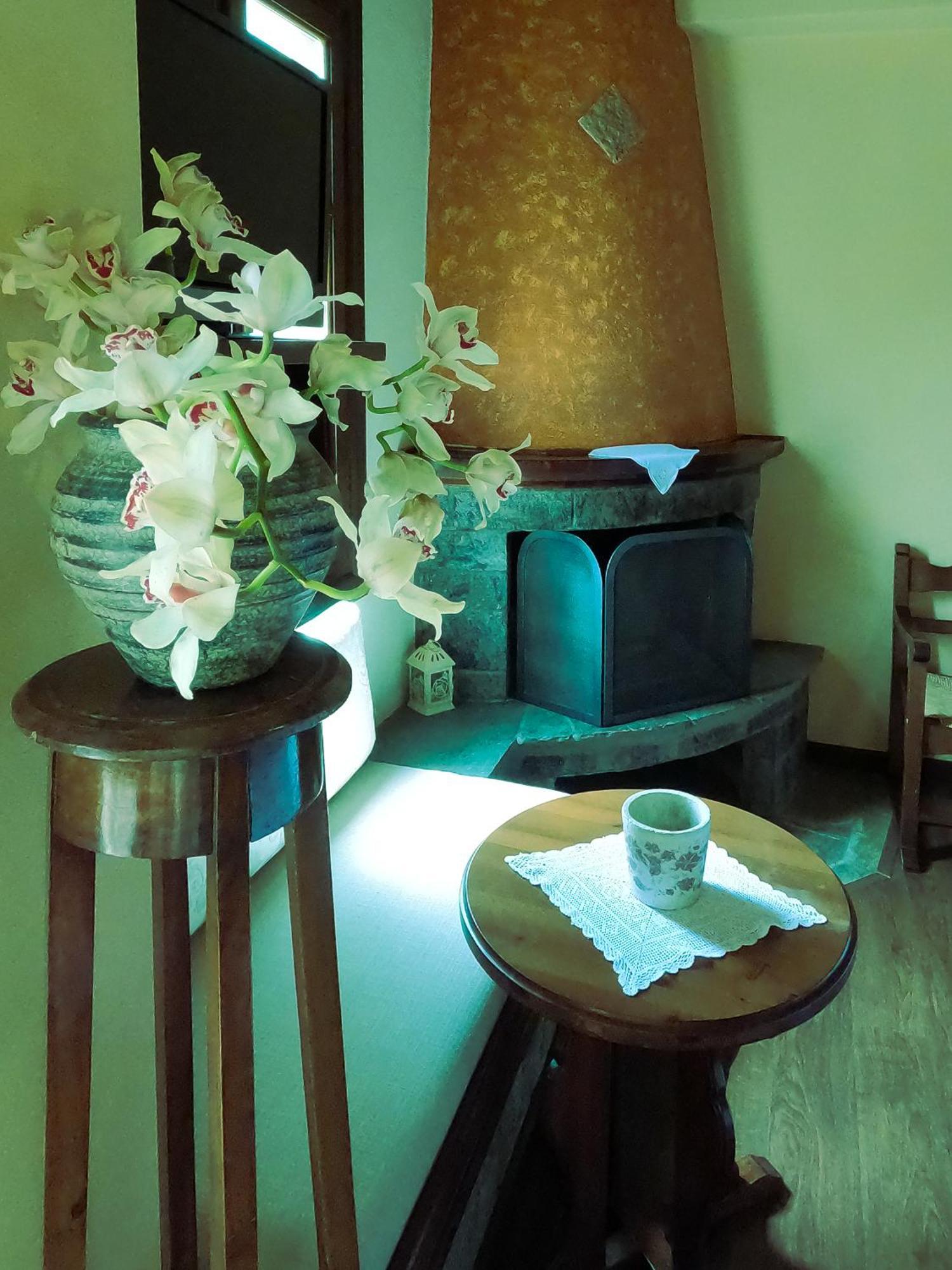 Amalthia Traditional Guesthouse Tsagkarada Chambre photo